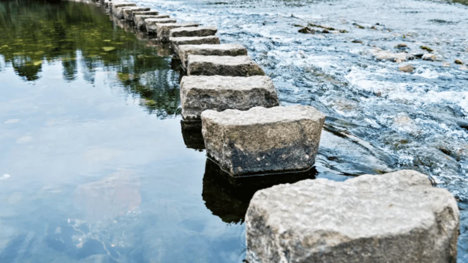 Recode Yourself for Happiness through Tiny & Mighty Steps