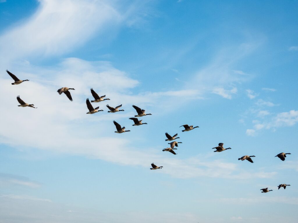 Transform Leaders, Transform the Organization