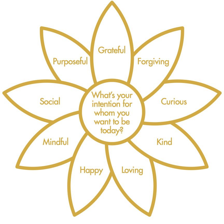 The 3 Pillars of Mindfulness