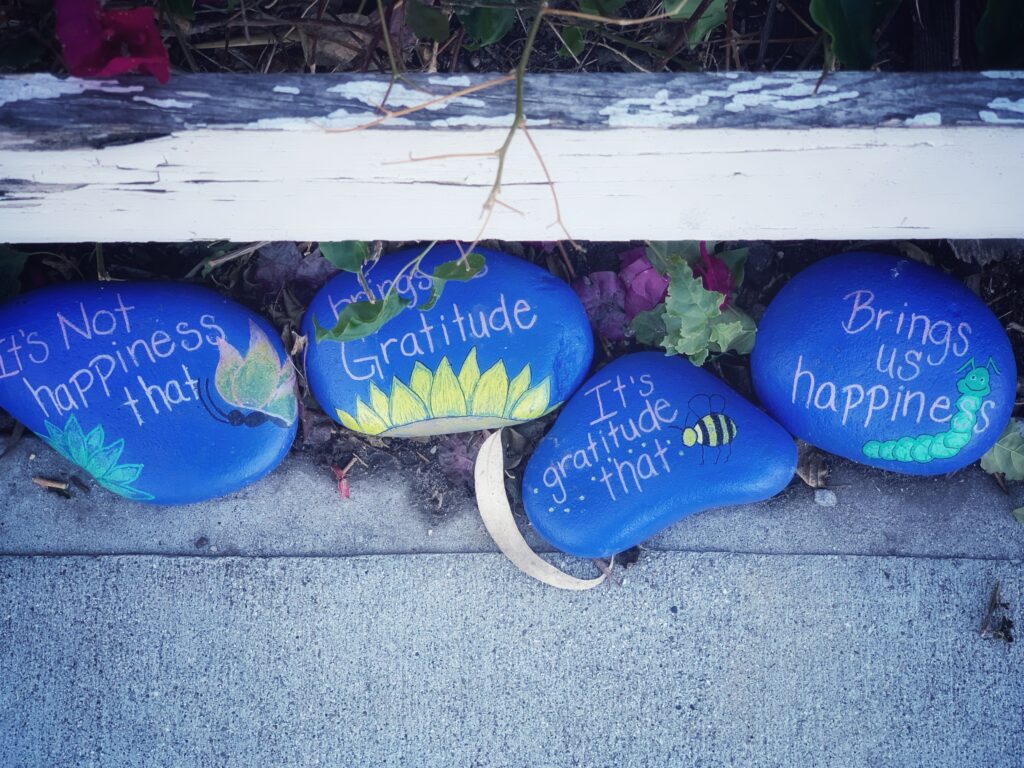 Embracing Gratitude and Appreciation