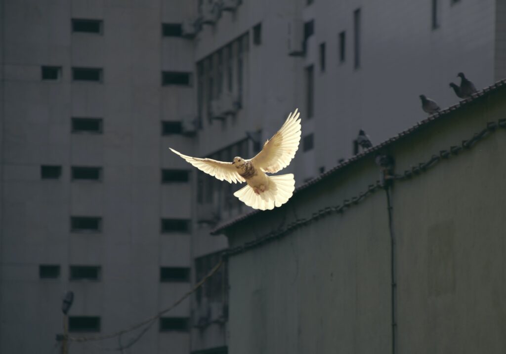 Making Peace with Your Inner Critic