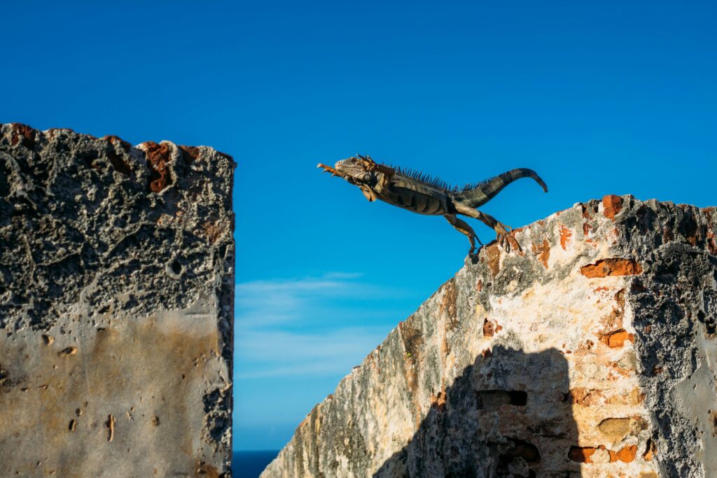 Rebuilding Self-trust and Intuition