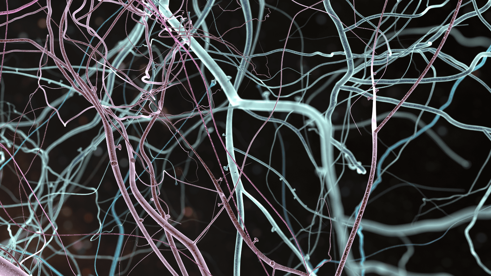 The Power of NeuroCoaching: Vision, Mission, and Situational Conversations