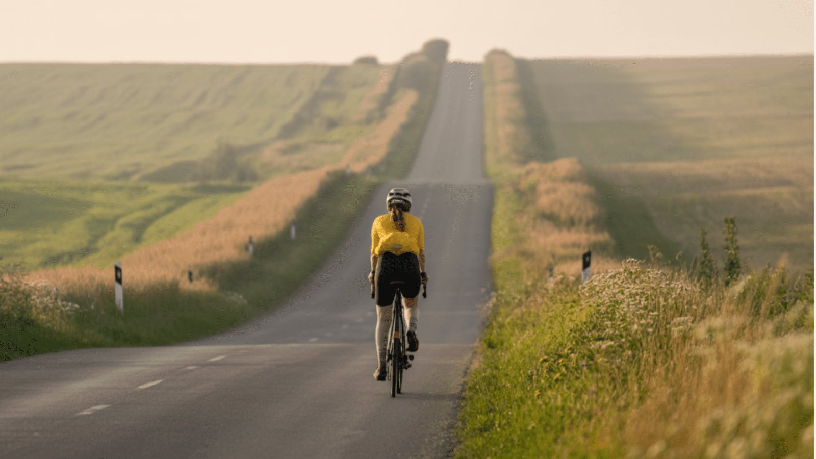 Redefining Success: Why Work Should Make Your Heart Flutter