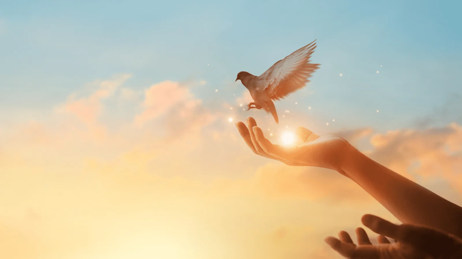 Unpacking the Happiness Formula
